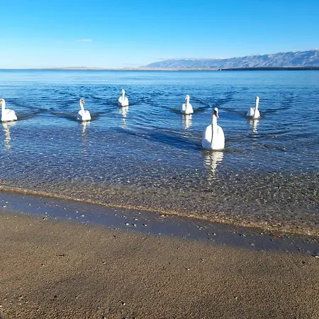 L&l Seabreeze 2 شقة نين