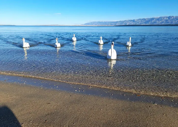 L&l Seabreeze 2 Lägenhet Nin